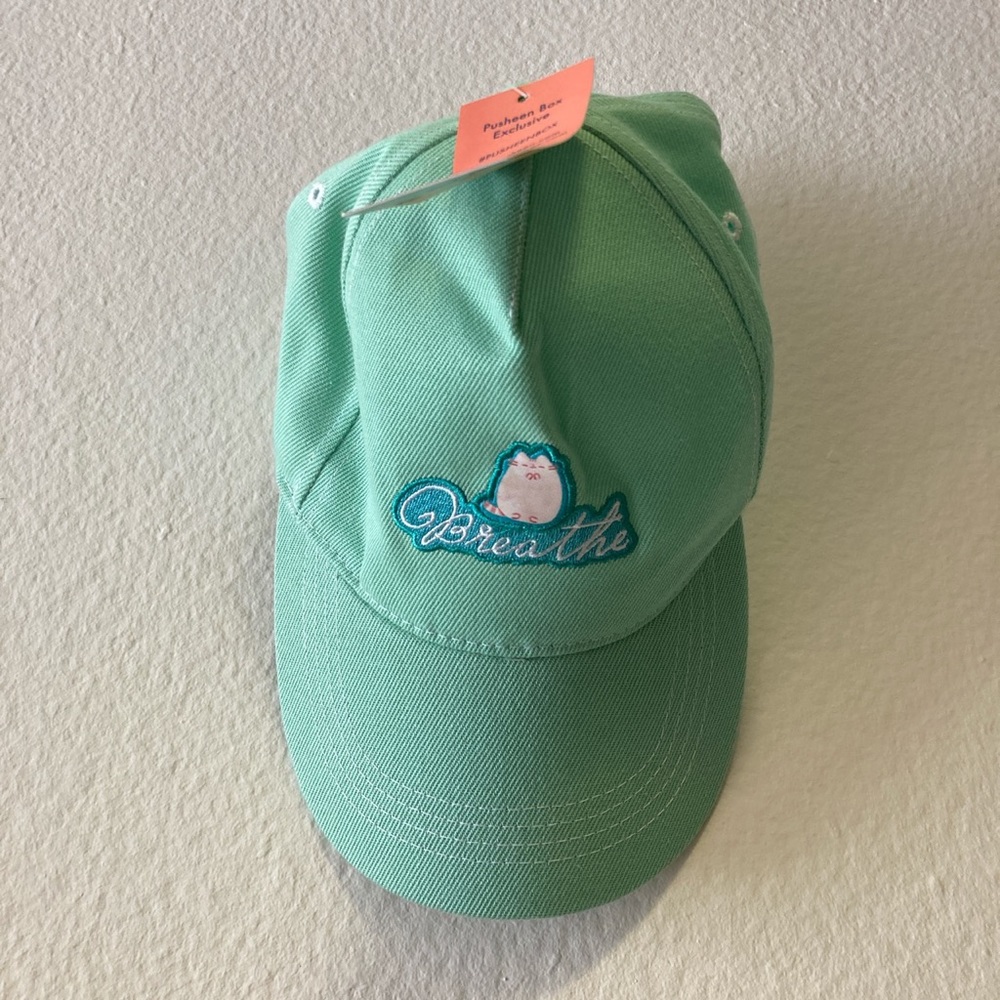 NWT Pusheen Mint Green Breathe Hat